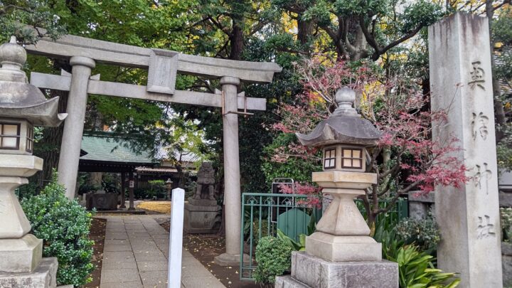 頭蓋骨の調整でスッキリしましたの画像